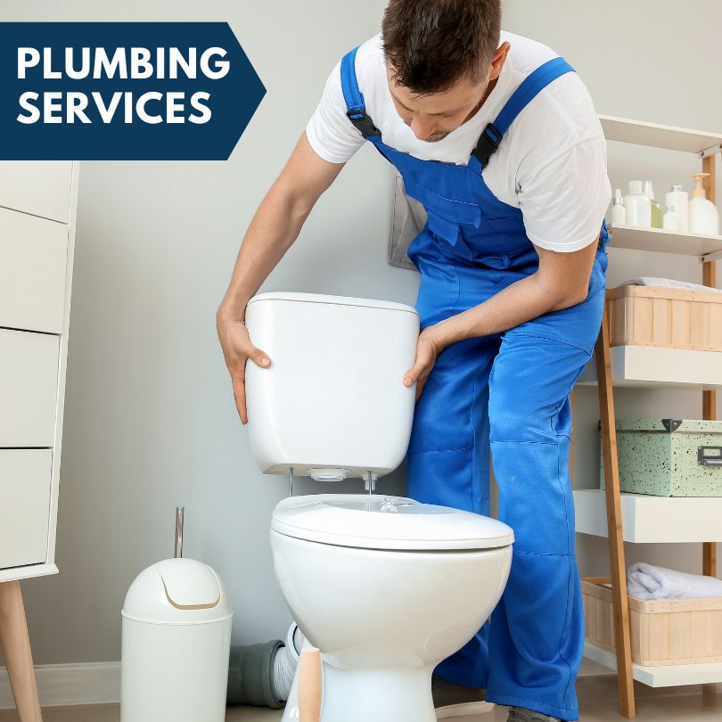 Plumbing Company in Palmyra, MI